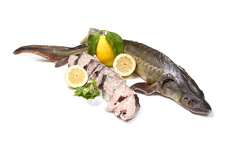 外科医生牛扒海鲜小体奢华食物美味钓鱼白色营养美食图片
