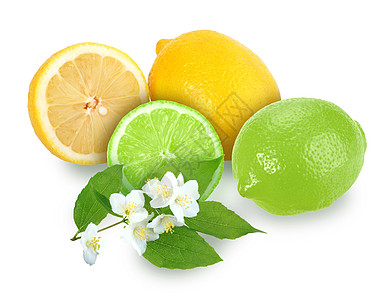柑橘水果 含茉莉枝图片