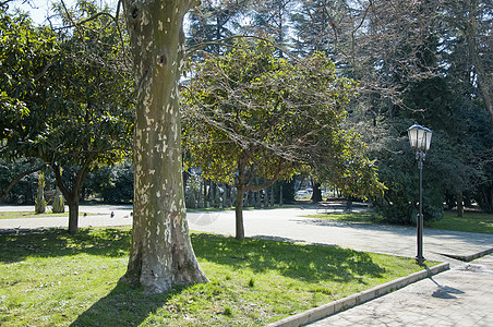 在度假林公园的长椅上金属叶子季节孤独公园休息花园木头森林座位图片