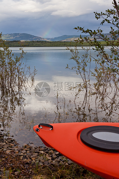 湖边柳树上的Kayak 在岸边的Kayak支撑锻炼皮艇消遣衬套享受爱好运动娱乐船只图片
