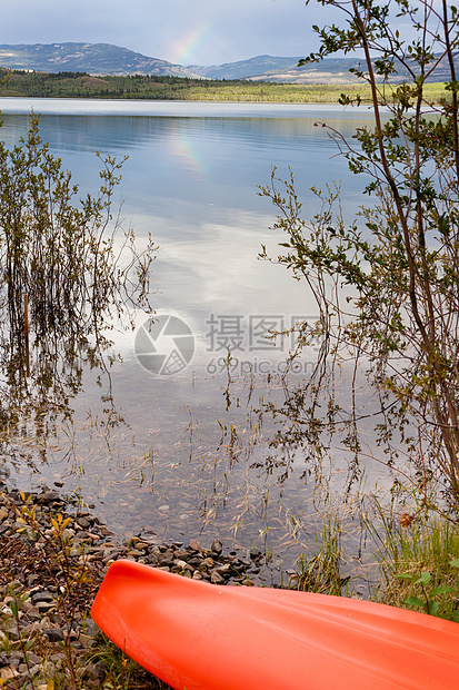 湖边柳树上的Kayak 在岸边的Kayak工艺娱乐爱好竞技闲暇支撑享受橙子皮艇衬套图片