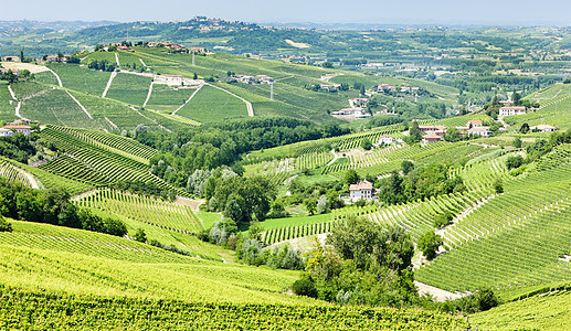 意大利皮埃蒙特附近的维内亚尔植被农业旅行酒业葡萄园位置世界藤蔓栽培国家图片