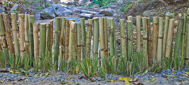 竹子围栏丛林绑定文化热带树枝木头管道装饰风水风格图片