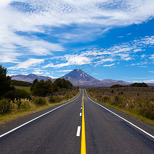 通向活跃火山的新西兰图片