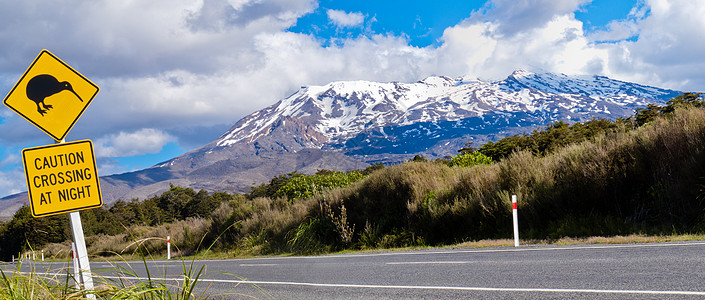 Kiwi交叉路标和卢阿佩胡火山 新西兰注意力锥体奇异果菱形旅行公园穿越无翼鸟国家平胸图片