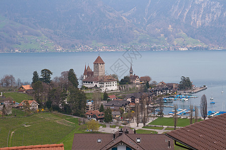 瑞士Spiez的Thun湖图片