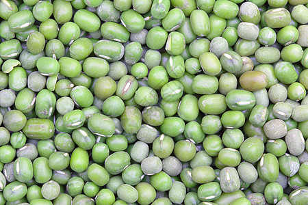 蒙大豆辐射糊状物绿色公克种子图片