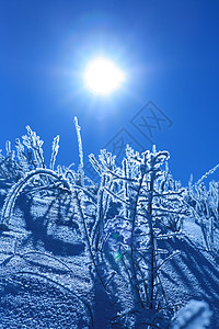 冰厂天气太阳冻结衬套天空白色水晶雪花火花蓝色图片