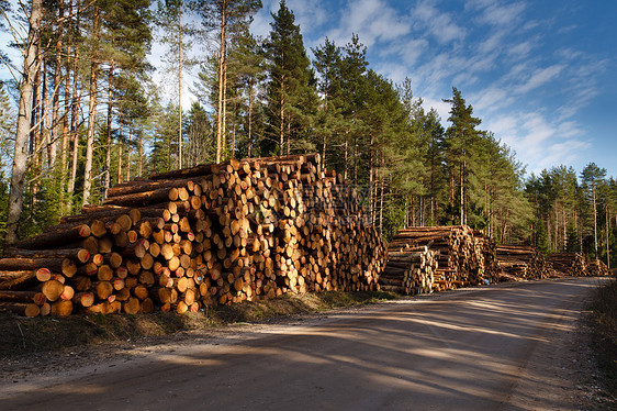 木柴堆森林柴堆木材农村林业树干力量记录树木云杉图片