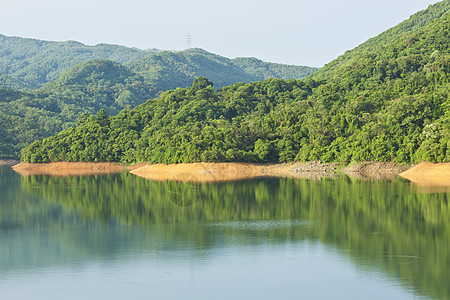 湖泊和森林场地旅行风景太阳植物木头荒野阳光场景蓝色图片