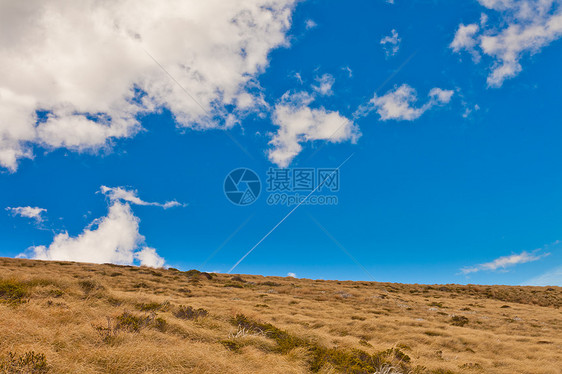 山坡对蓝天空的干黄草天际环境阳光寂寞农村天空土地草原轨迹场地图片