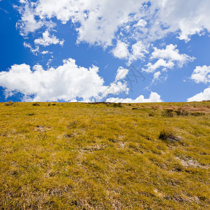 山坡对蓝天空的干黄草爬坡场地农村环境轨迹地形蓝色风景寂寞阳光图片