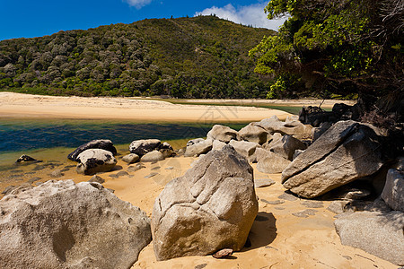 新西兰的颗粒巨石蓝色旅行森林旅游亚热带支撑假期天堂海洋沿海图片