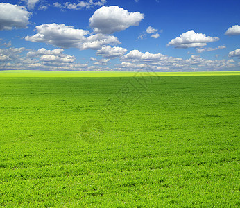 字段季节全景农场天空阳光草地牧场风景农业天气背景图片