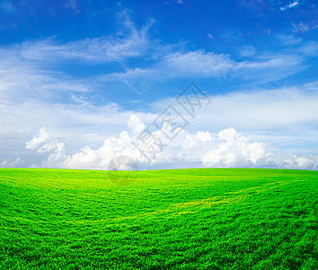 字段风景天空牧场场地农场远景地平线阳光季节绿色图片