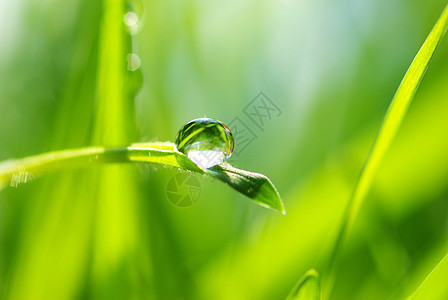 草地的降水量背景图片