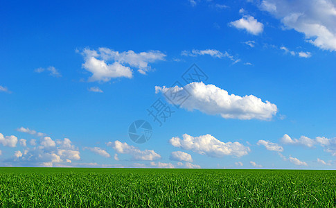 风景天气国家蓝色远景场地农场农村植物阳光季节图片