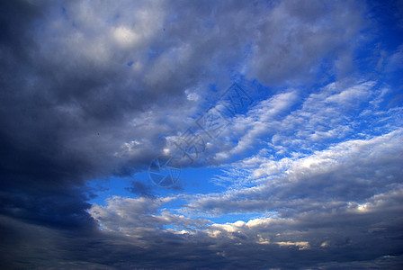天空墙纸白色天气蓝色青色多云生长天堂乌云气候图片