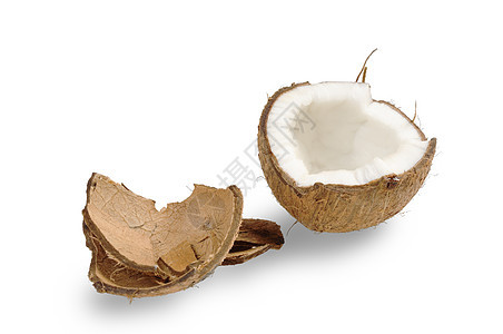 新鲜椰子和椰子壳坚果白色可可水果棕榈热带饮食情调棕色异国图片