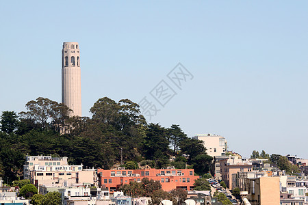 旧金山科特塔城市纪念碑建筑历史蓝色爬坡宝藏建筑物地标景观图片