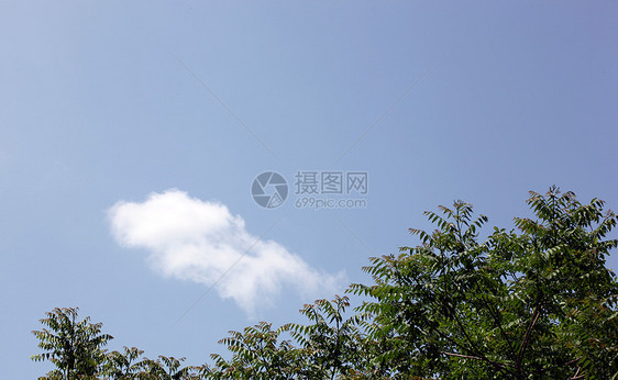 蓝天空背景柔软度场景天堂气候天际臭氧天空蓝色天气气象图片