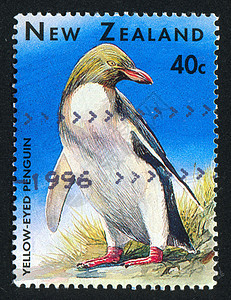 企鹅支撑动物群历史性集邮野生动物明信片邮戳邮资岩石天空图片