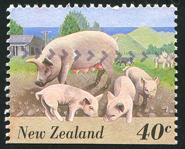 猪房子鼻子母猪邮件爬坡邮资小猪集邮牧场森林图片