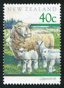 库沃斯羊古董邮票植物群木材栅栏动物牧场历史性哺乳动物集邮图片