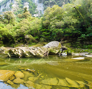 沿着新西兰波罗莱河一带的绿雨林雨林环境生长处女流动巨石树木荒野森林岩石图片