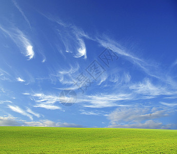 字段土地季节牧场地平线风景天空天气乡村植物草地背景图片