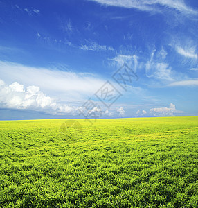 字段绿色全景乡村植物场地农业天气天空远景季节背景图片