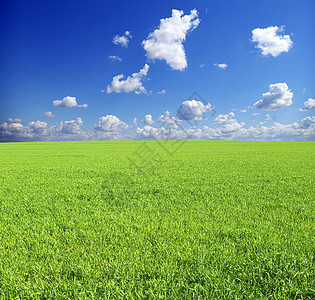 字段场地植物风景草地季节农业远景牧场天空天气图片