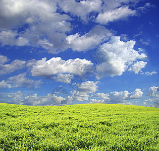 字段土地远景植物风景农业地平线乡村草地阳光天空图片