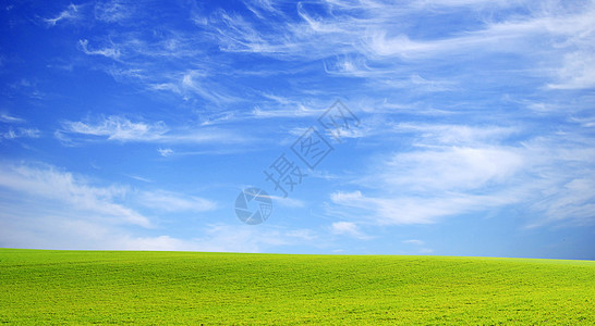 字段场地农场天气植物季节天空远景乡村绿色土地图片