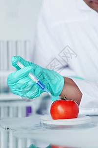 番茄DNA变化注射器农业蔬菜化学品叶子饮食水果男性实验团体图片
