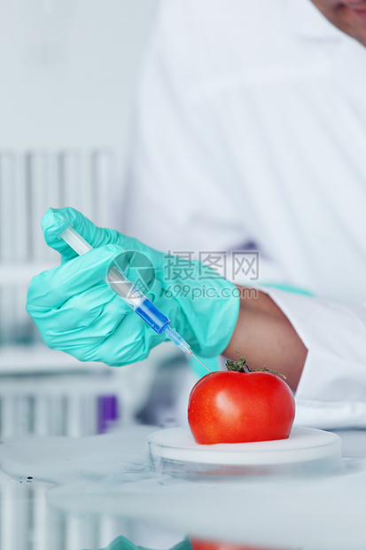 番茄DNA变化注射器农业蔬菜化学品叶子饮食水果男性实验团体图片
