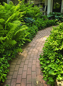 园林中的砖条路石头绿色途径美化花园青菜绿化后院植物砖块图片