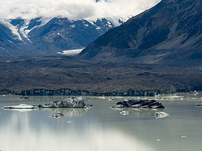 的塔斯曼冰川湖冰山首脑岩石顶峰公园瓦砾国家公吨漂浮风景冰川图片