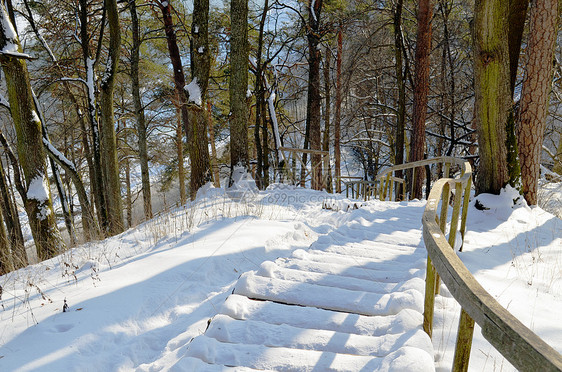 冬季在陡峭的山坡上用扶手扶起木雪花橡树楼梯图片