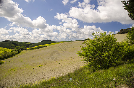 托斯卡桑泉的草地颜色太阳地平线日落植物群酒厂植被农村农场叶子场地图片