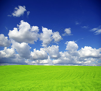 字段远景天空牧场农业地平线场地乡村季节阳光绿色图片