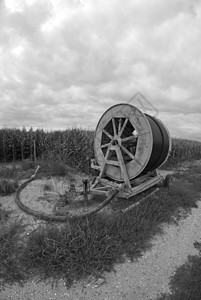 意大利农业机械 意大利蓝色农民土壤甘蔗驾驶车轮食物拖拉机种植商业图片