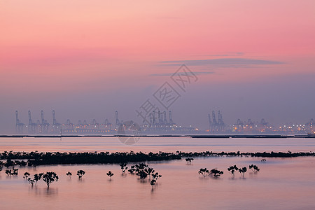 雾雾的清晨集装箱起重机城市进口港口船运货物天际码头运输场景海岸线图片