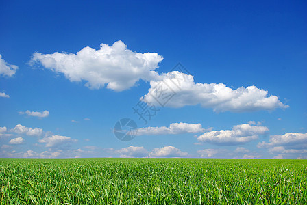 字段季节美丽土地农村植物场地阳光环境天气蓝色图片