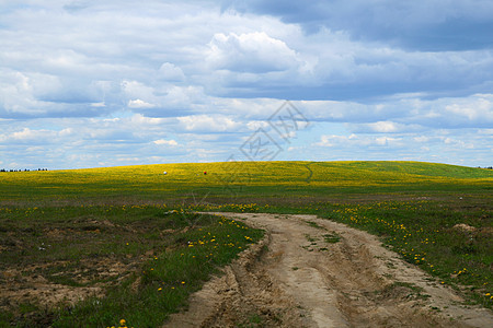 山地景观季节公园草地环境植物群叶子花瓣天空蓝色农场图片