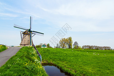 荷兰风车 荷兰翅膀纺纱生态力量刀刃活力天空历史性窗户建筑学图片