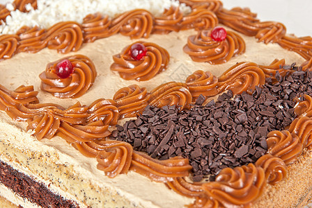 巧克力瑞士卷磨砂奶制品海绵食物鞭打产品树叶糖果甜点糕点图片