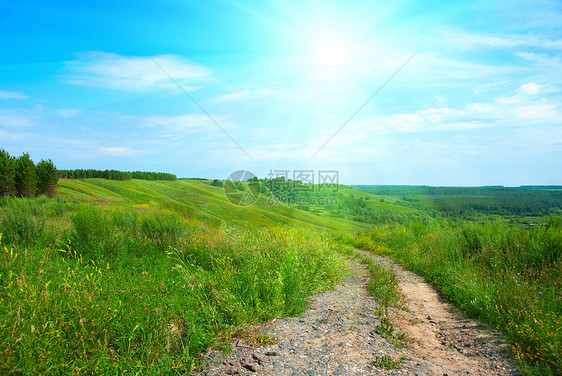 夏季风景城市草地地平线土地国家花朵农村小路日落木头图片