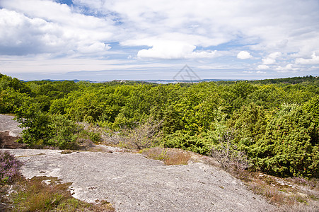 瑞典的景观树木花岗岩岩石群岛岛屿天空图片