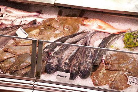 鱼市场营养大厅海鲜贝类海洋生物钓鱼螃蟹厨房对虾饮食图片